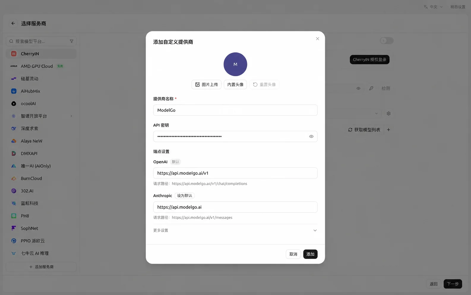 Add the ModelGo custom provider