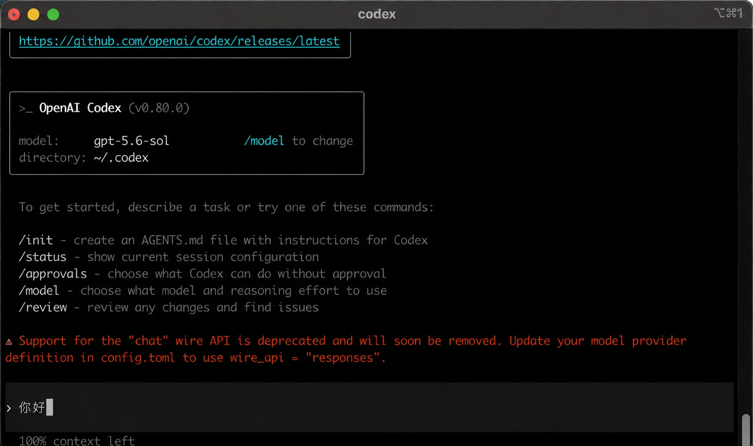 Start a conversation in Codex