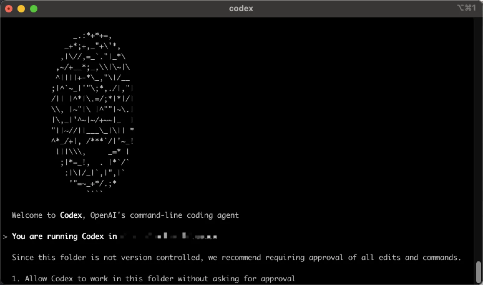 Codex project welcome screen